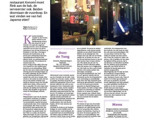 Recensie Haarlems Dagblad